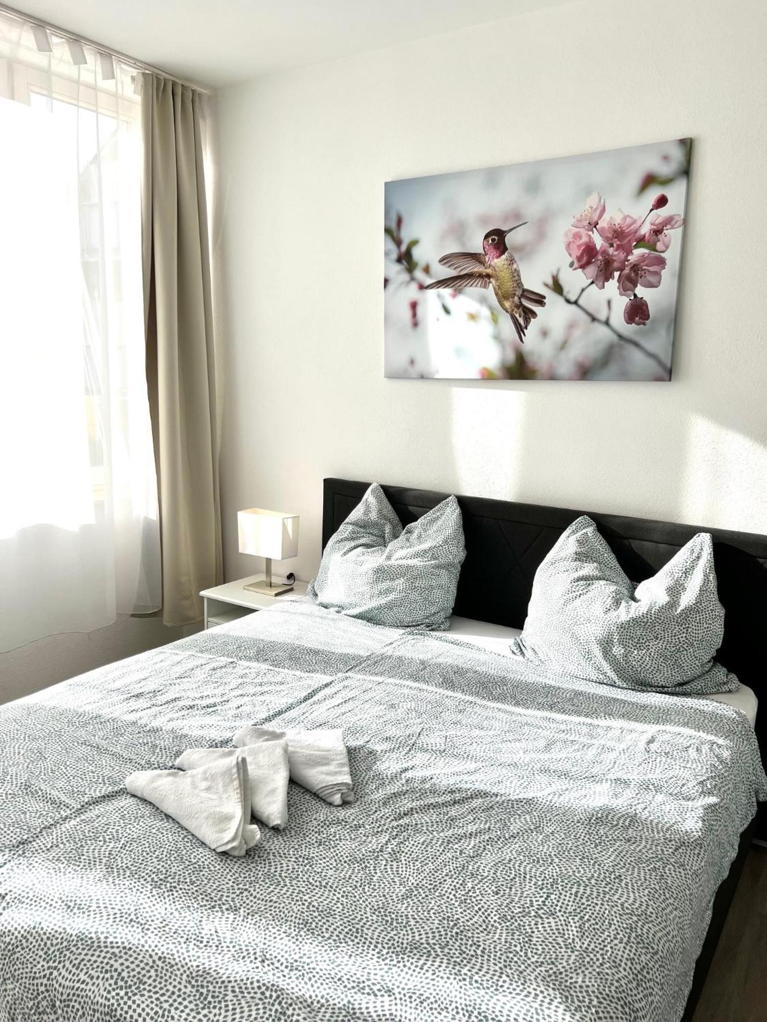 City Appartement Kueche,Bad, Parken Im Zentrum Von Равенсбург Екстериор снимка